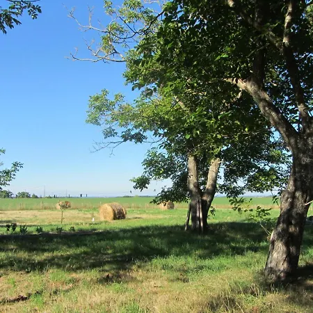 بيت ضيافة D'hotes Les Pieds Dans L'herbe Saint-Julien-Gaulene